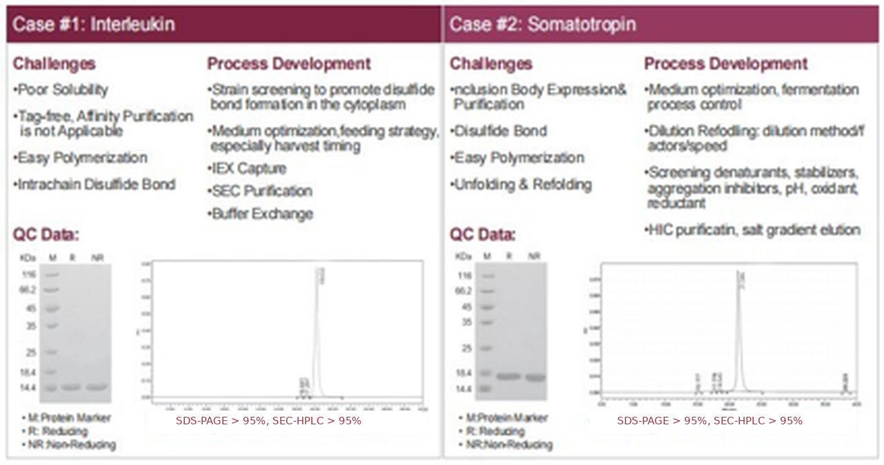 Bacterial expression case studies for interleukin and somatotropin with process development notes, SDS-PAGE gels and SEC-HPLC traces.