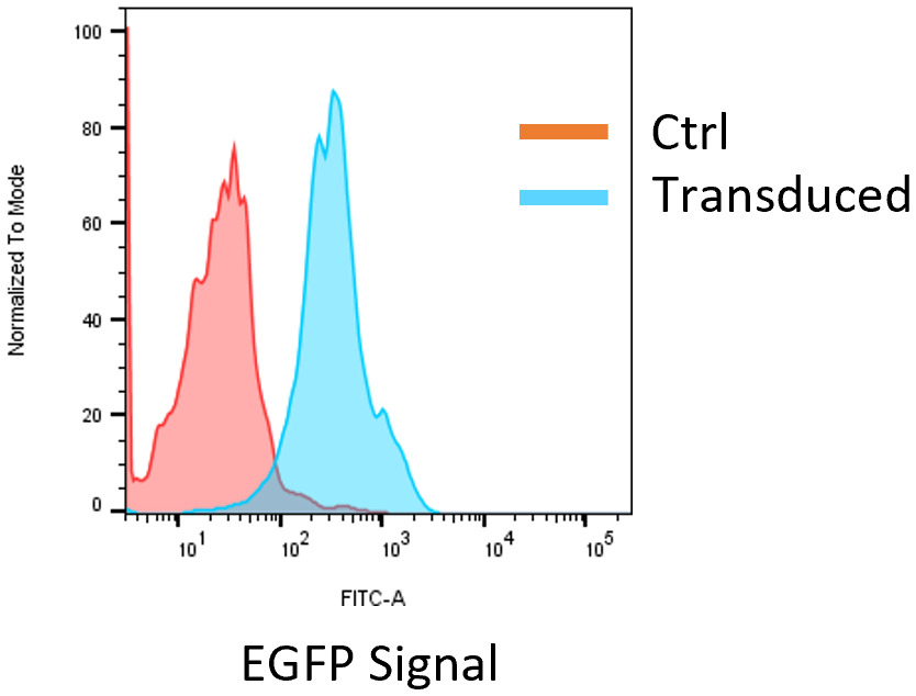 Flow cytometry histogram comparing EGFP signal in control and transduced cells.
